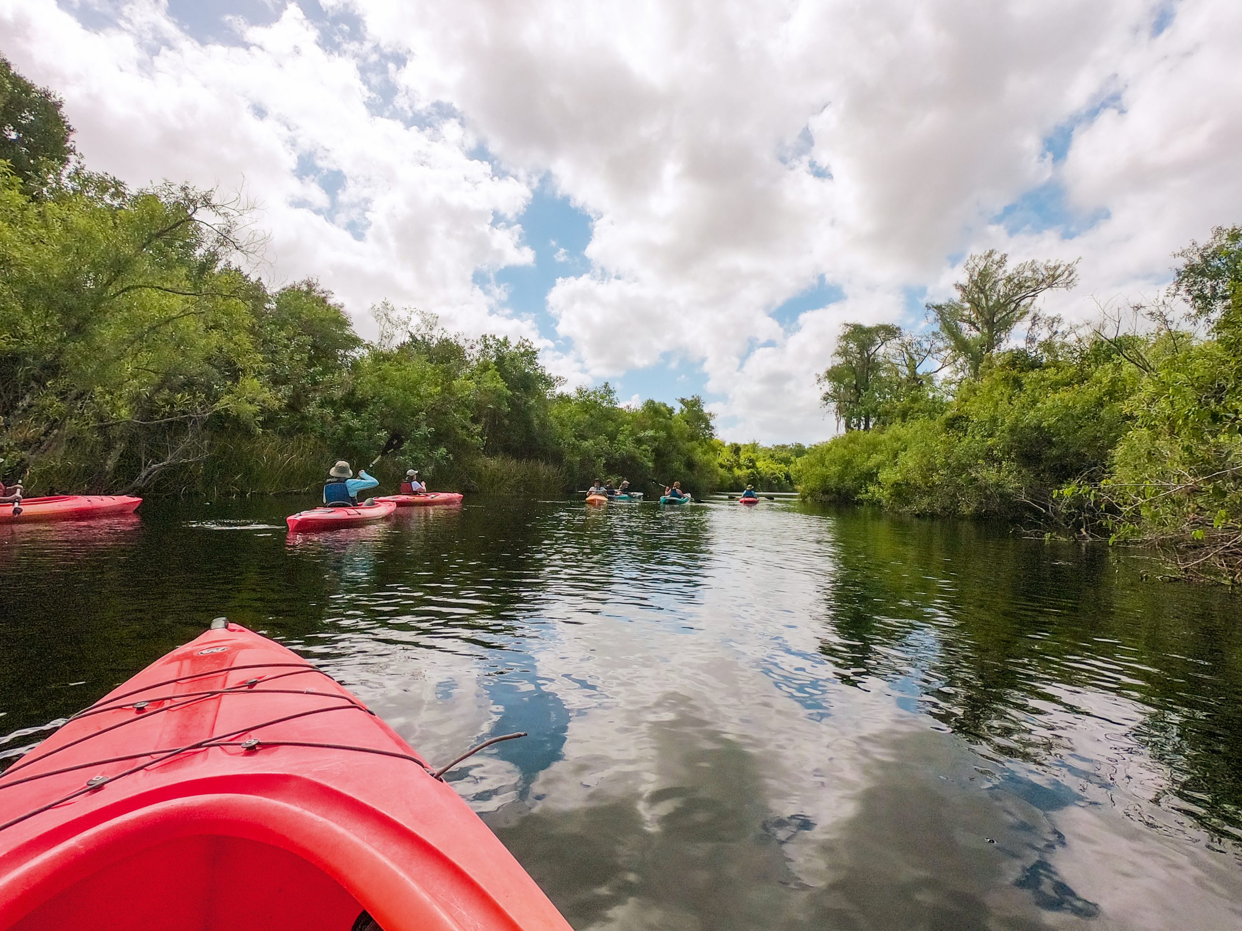 Eine Kajakfahrt durch den Everglades National Park