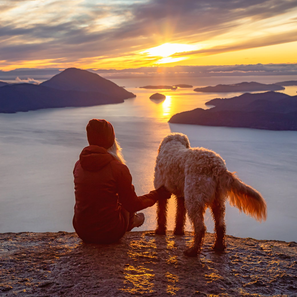 Reisende mit Hund beim Sonnenuntergang am Meer