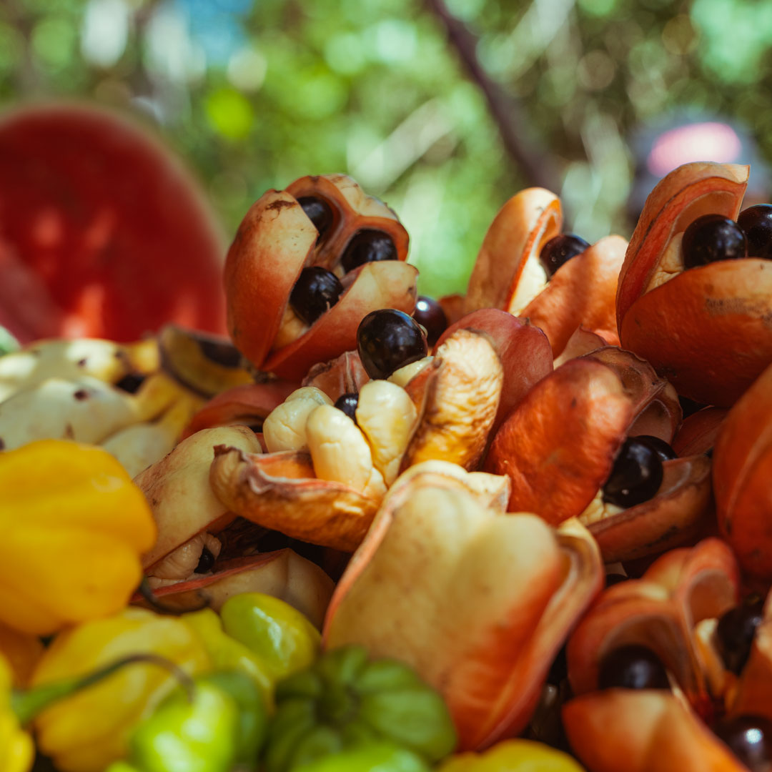 Ocho Rios Ackee Früchte