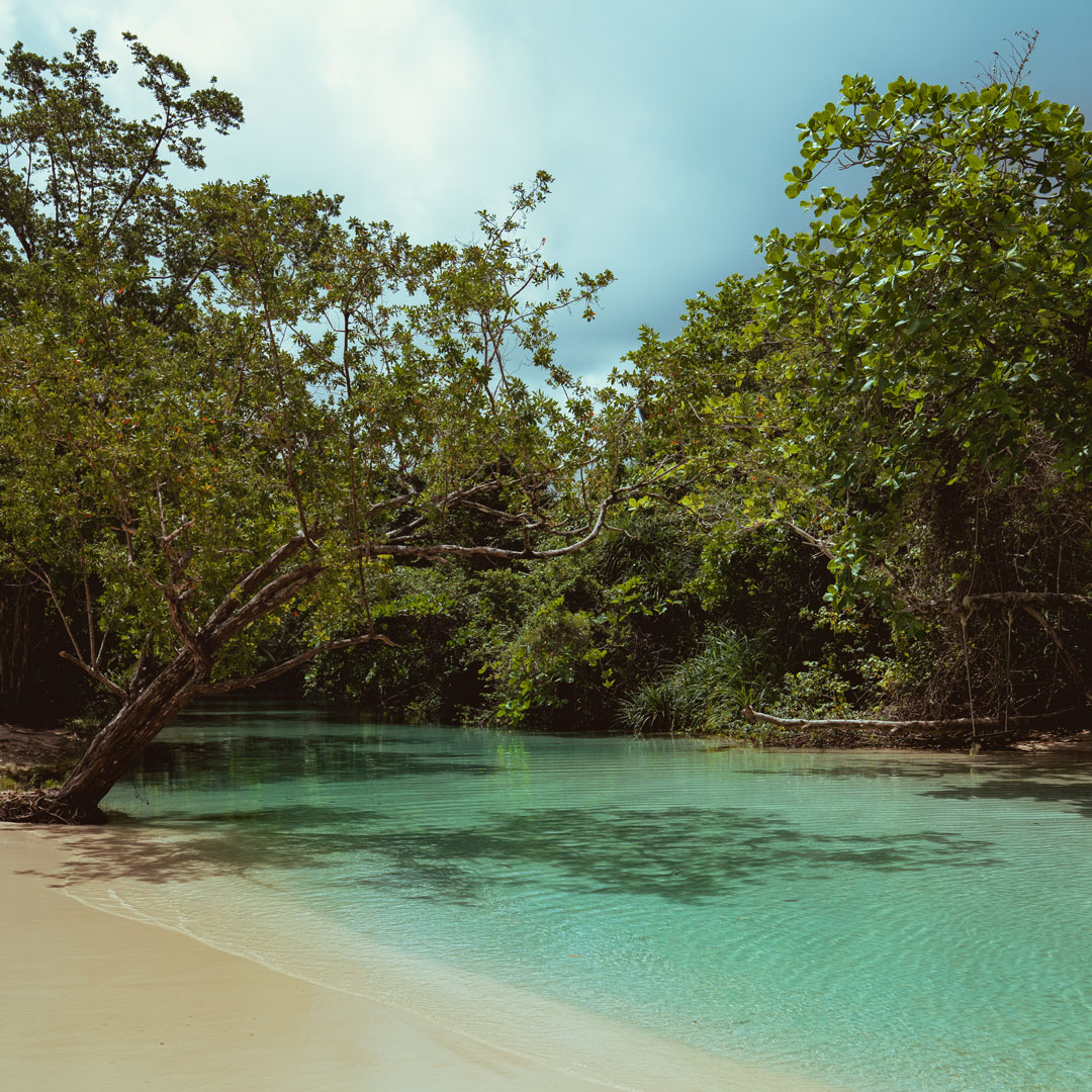 Port Antonio Frenchmans Cove