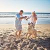 Familie_Hund_Strand_1040x1040-640x640.jpg