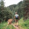 Hund_Mann_Wald_1040x1040-640x640.jpg