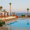 Napa_Mermaid_1040x1040-640x640.gif
