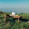 Pult_im_gruenen_1040x1040-640x640.gif