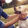 Weisser_Hund_Mann-640x640.jpg
