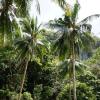 7-Commandos-Island-entdeckt-beim-Inselhu%CC%88pfen-in-El-Nido.jpg