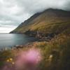 Bild-4_faroe-7961.jpg