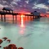 Naple Pear, Clearwater Beach