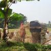 Alleppey