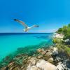 Chalkidiki_Strand_026922.jpg