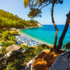 Lemonakia_shutterstock_723645109-edit20231005071625.jpg