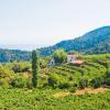 Samos_010071.jpg