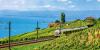 Nachhaltiges Reisen: Top-Ferienziele mit dem Zug